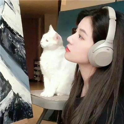 欲流双行道